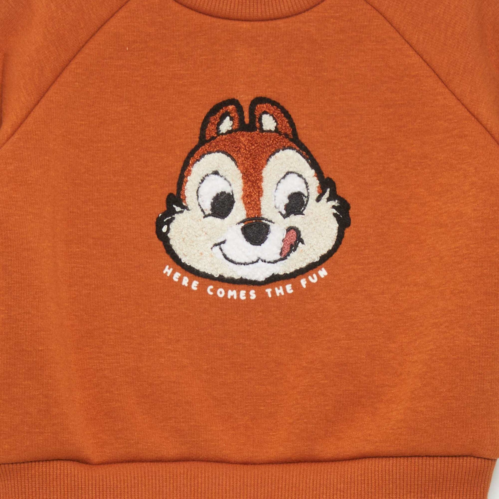 Disney sweatshirt BROWN TICK