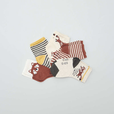 عبوة من 5 أزواج من الجوارب المحبوكة القابلة للتمدد BROWN