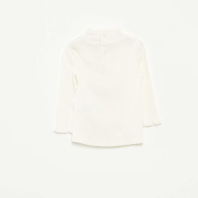 DSQ55_1_ZC2
