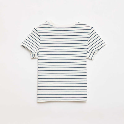 FED43_11_ZC2