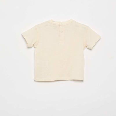 FNU17_1_ZC2