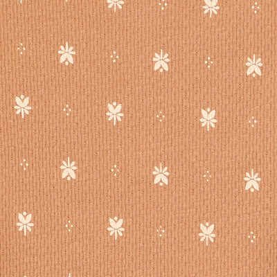 FWK38_11_ZC2