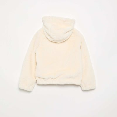FWT11_1_ZC2
