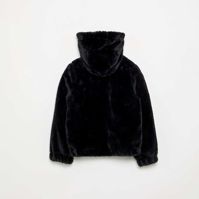 FWT11_2_ZC2
