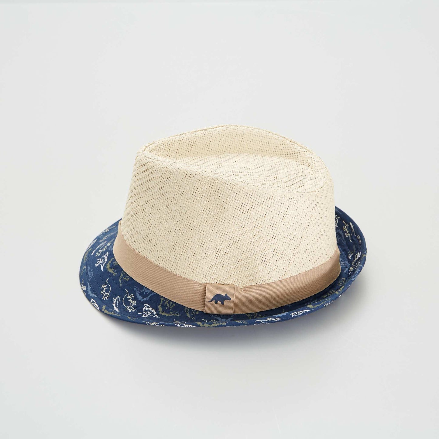 Dinosaur two-tone straw hat BLUE
