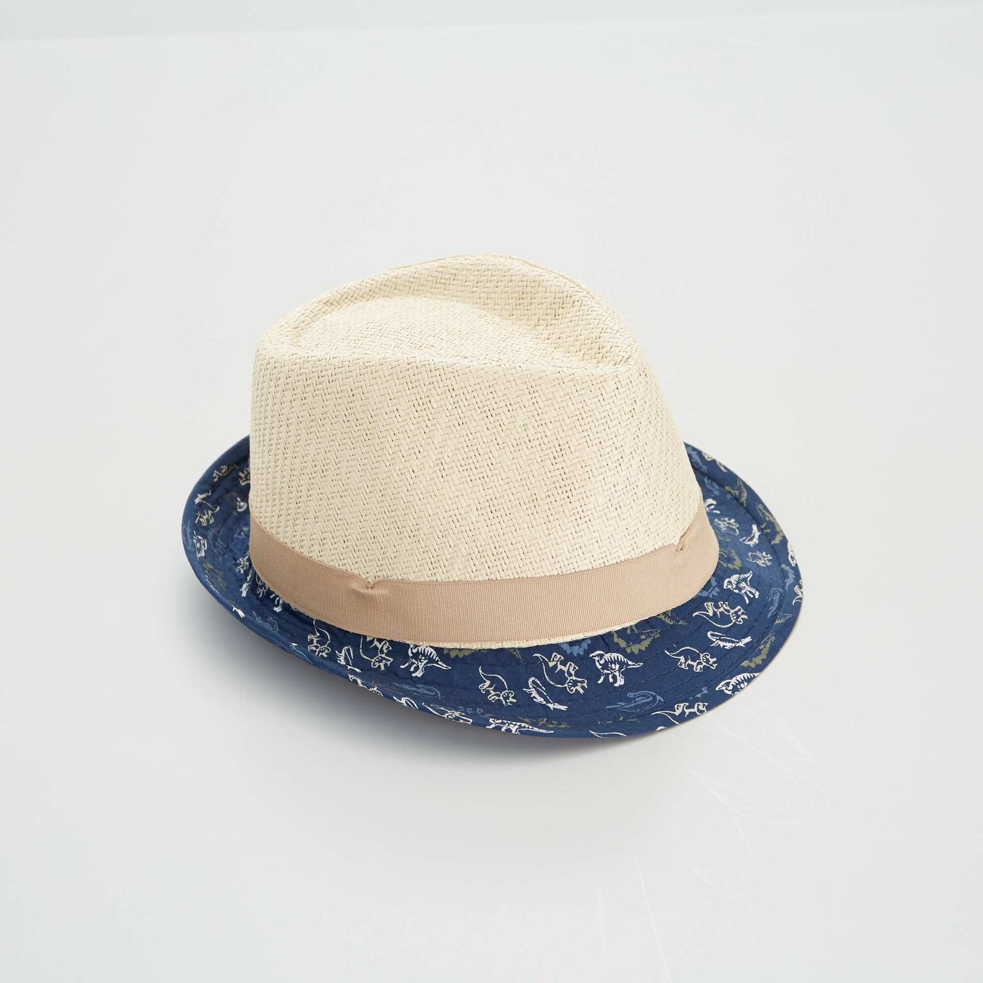 Dinosaur two-tone straw hat BLUE