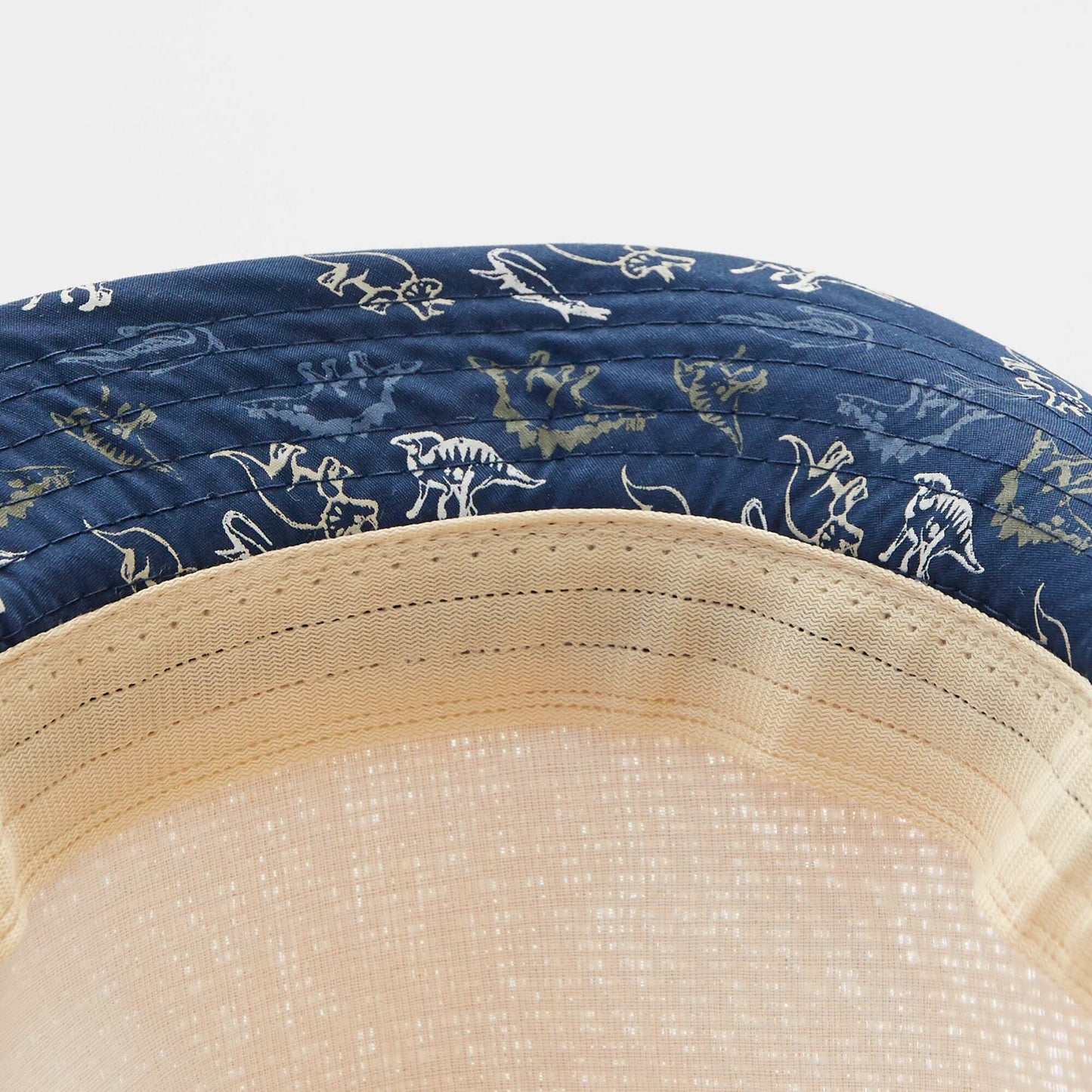 Dinosaur two-tone straw hat BLUE